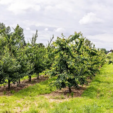 Apartmán Im Obstgarten *
