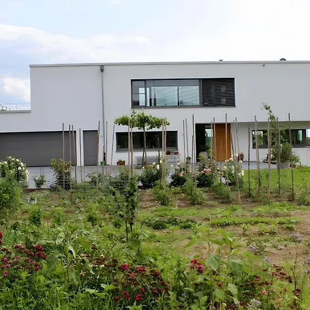 Im Obstgarten Apartment Ihringen